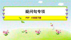 人教版六年級下冊英語疑問句專項 課件.ppt