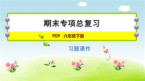 人教版六年級下冊英語閱讀理解專項(一)課件.ppt