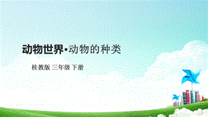 桂科版三下綜合實踐活動 第7課《動物世界 動物的種類》課件.pptx