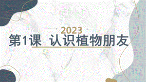 安徽大學版三上綜合實踐活動第1課認識植物朋友（課件）.pptx