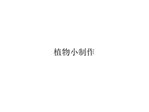 安徽大學版三上綜合實踐活動1.3植物小制作課件.pptx