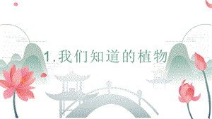 24新教科版一年級上冊科學1.1 我們知道的植物 課件.pptx