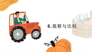 24新教科版一年級上冊科學2.6觀察與比較課件.pptx