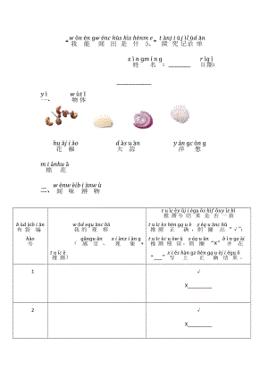24秋新教材教科版一年級上冊科學2.4《氣味告訴我們》實驗記錄單.docx