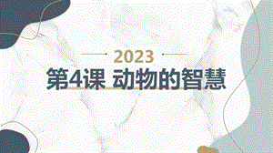 長春版四年級下冊綜合實踐活動第4課動物的智慧（課件）.pptx