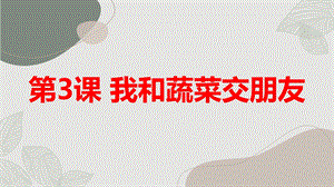 長春版三年級(jí)上冊(cè)綜合實(shí)踐活動(dòng)第3課我和蔬菜交朋友（課件）.pptx