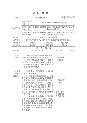 長春版三年級下冊綜合實踐活動表格式教案-13、陽臺小花園.docx