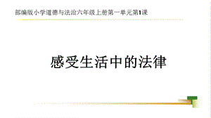 部編版六上道德與法治第1單元第1課《感受生活中的法律》大單元教學課件.pptx