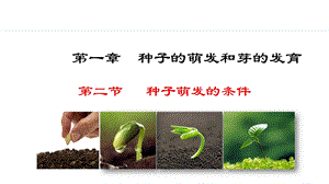 冀少版八年級(jí)上冊(cè)生物3.1.2種子萌發(fā)的條件課件.pptx
