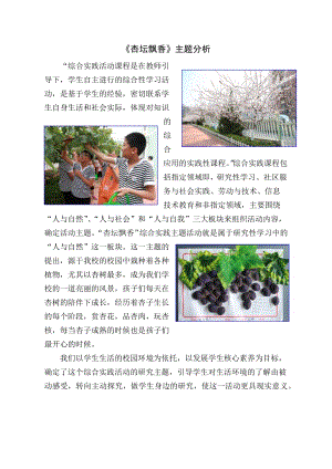 小學(xué)綜合實(shí)踐活動-杏壇飄香-孫-教材分析.doc