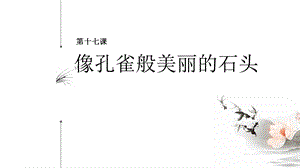 七至九年級《美麗陽江》課件：第十七課像孔雀般美麗的石頭.pptx