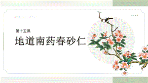 三四年級美麗陽江課件：第十五課地道南藥春砂仁.pptx
