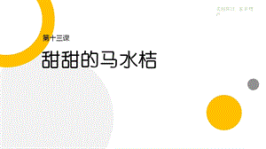 三四年級美麗陽江課件：第十三課甜甜的馬水桔.pptx