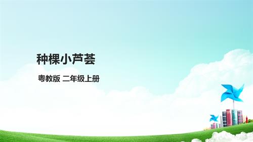 【粵教版】二年級全冊《勞動與技術(shù)》第四單元 《 種棵小蘆薈》課件.pptx