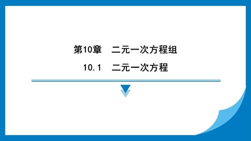 25春蘇科版七年級下冊數學10.1　二元一次方程 習題課件.pptx