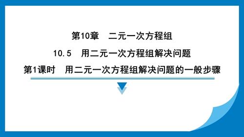 25春蘇科版七年級(jí)下冊(cè)數(shù)學(xué)10.5　用二元一次方程組解決問(wèn)題 習(xí)題課件.pptx
