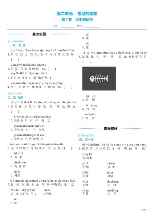教科版（2024）科學一年級下冊2 .4 水中的動物 同步練習（含答案）.docx