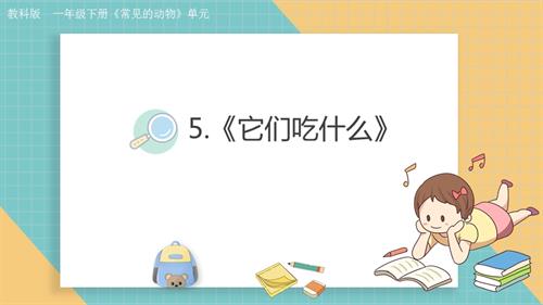 2025教科版一年級下冊科學2.5《它們吃什么》課件.pptx