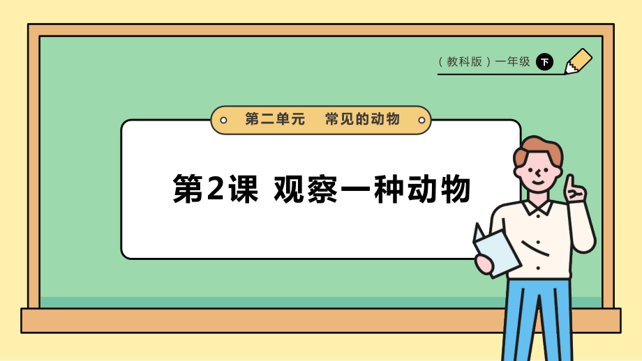 2025教科版一年級下冊科學2.2《觀察一種動物》PPT課件+課時教案.rar