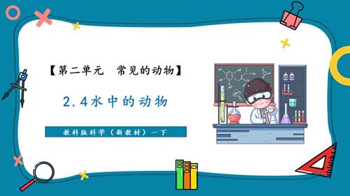 2025新-教科版一年級下冊科學2.4 水中的動物（教學課件）.pptx