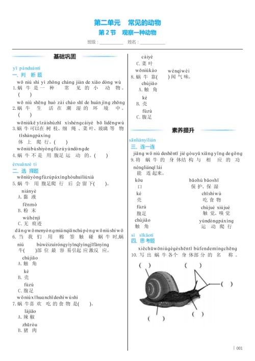 教科版（2024）科學一年級下冊2 .2 觀察一種動物 同步練習（含答案）.docx
