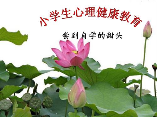 魯畫版四年級上冊心理健康4.嘗到自學的甜頭-課件（徐老師）.pptx