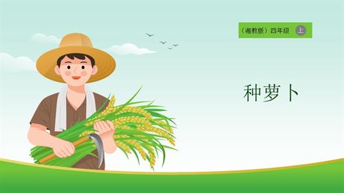 湘教版四年級上勞動(dòng)實(shí)踐指導(dǎo)專題周第1課《種蘿卜》課件.pptx
