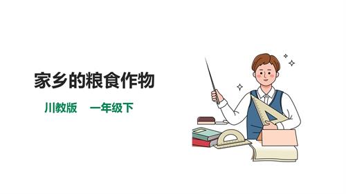 川教版一年級下冊《生命.生態(tài).安全》第15課《家鄉(xiāng)的糧食作物》 課件.pptx