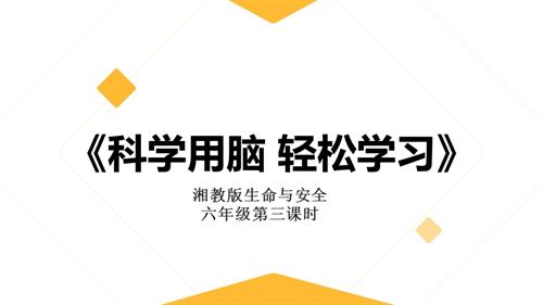 湘教版六年級(jí)上冊(cè)生命與安全3.科學(xué)用腦輕松學(xué)習(xí)課件.pptx