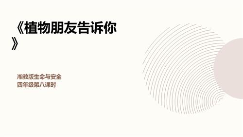 湘教版四年級上冊生命與安全8.植物朋友告訴你 課件.pptx