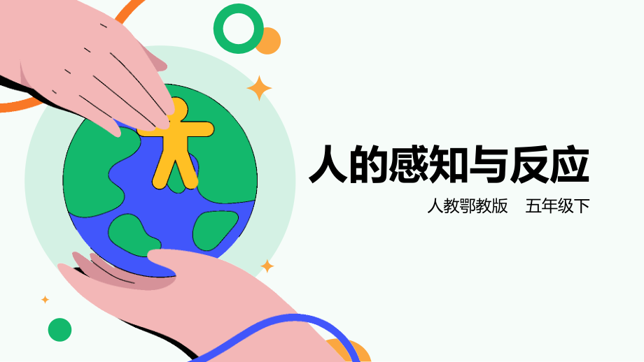 人教鄂教版五年級下冊科學3.8《人的感知與反應》課件（44張PPT）+素材.rar