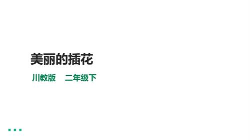 川教版二年級下冊《生命.生態.安全》第17課《美麗的插花》 課件.pptx