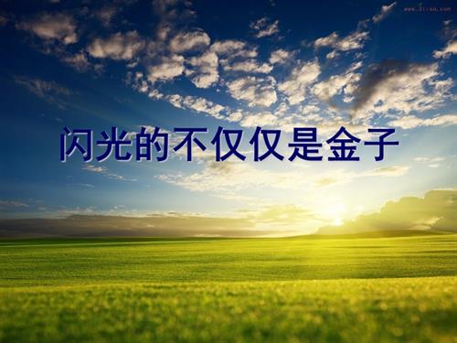 鄂科版五年級(jí)心理健康9A閃光的不僅僅是金子課件.ppt
