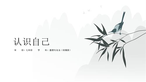 部編版七年級上冊道德與法治2.1認識自己課件.pptx