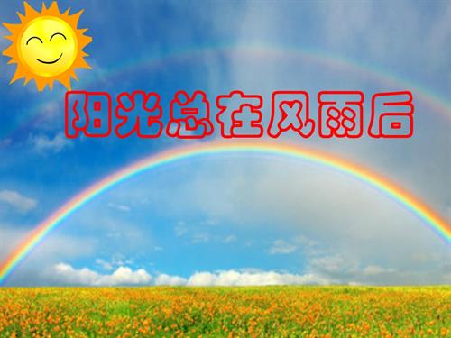 鄂科版四年級心理健康9B陽光總在風雨后課件.pptx