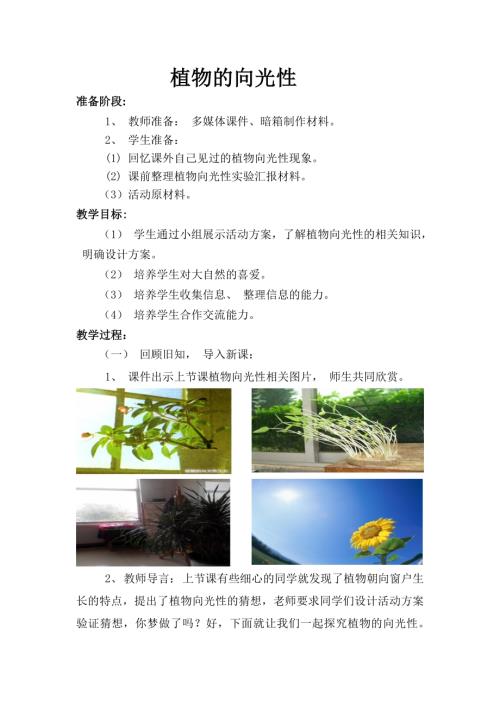 小學綜合實踐活動公開課：植物向光性-徐-教案教學設計2551.doc
