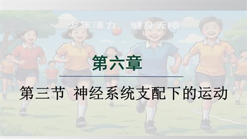 25秋人教版八年級上冊生物學第三節 神經系統支配下的運動 課件.pptx
