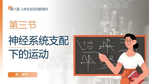 25秋人教版八年級上冊生物學第六章第三節《神經系統支配下的運動》第二課時課件.pptx