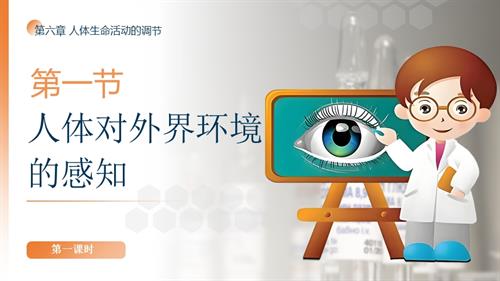 25秋人教版八年級上冊生物學第六章第一節《人體生命活動的調節》第一課時課件.pptx