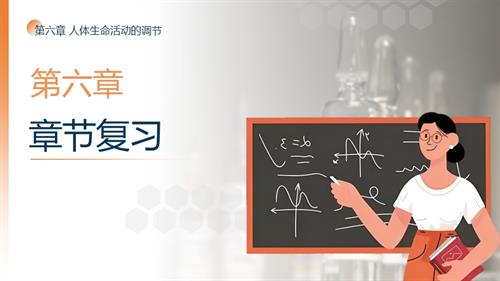 25秋人教版八年級上冊生物學第六章-章節復習課件.pptx