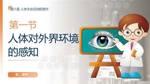 25秋人教版八年級上冊生物學第六章第一節《人體生命活動的調節》第二課時課件.pptx