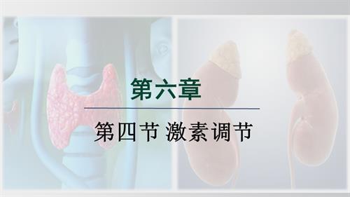 25秋人教版八年級上冊生物學第四節 激素調節 課件.pptx