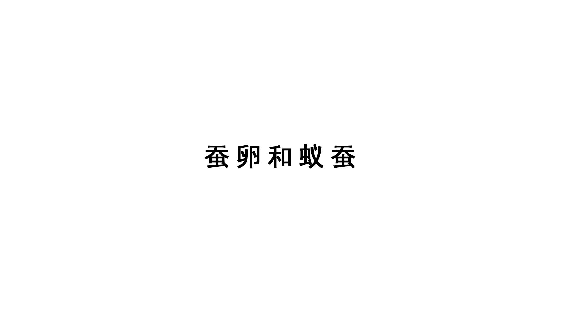2021新蘇教版四年級下冊科學(xué)實(shí)驗(yàn)視頻：蠶卵與蟻蠶.mp4