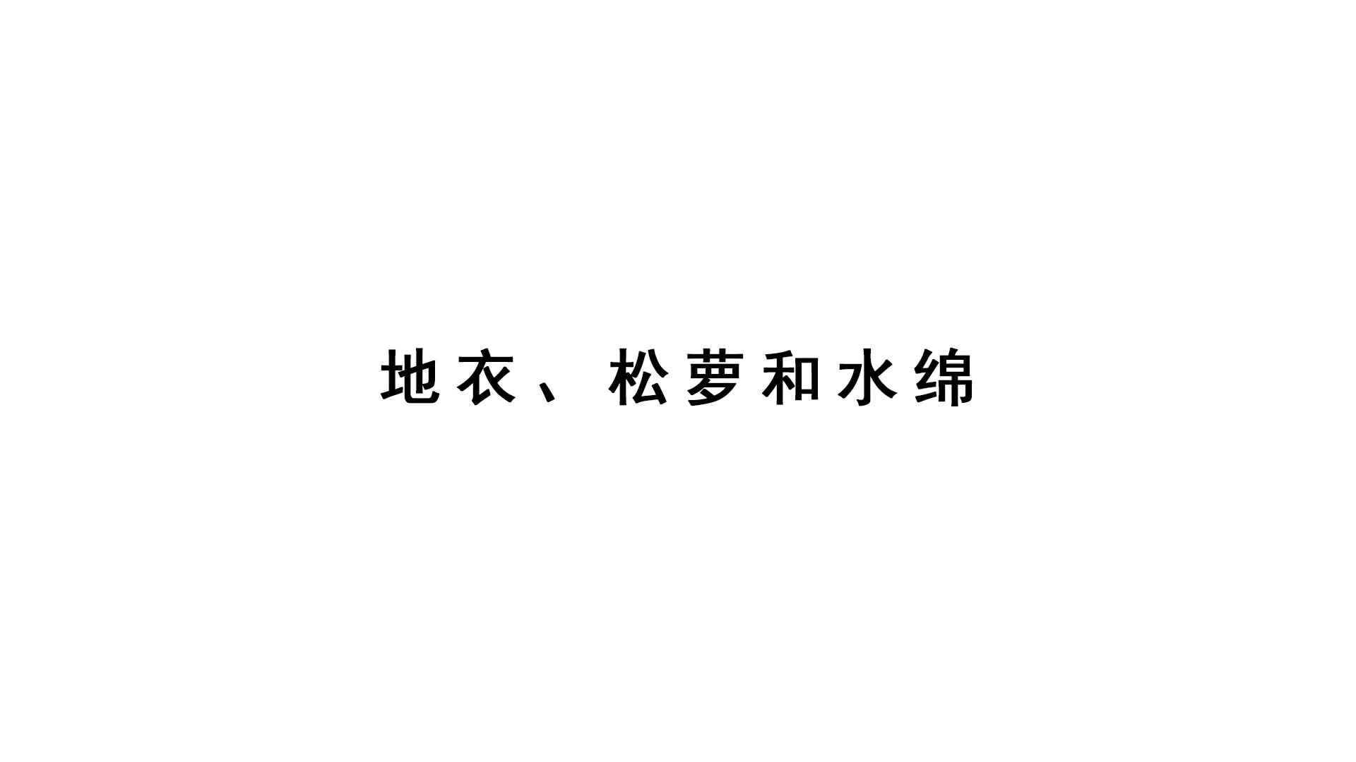 2021新蘇教版四年級下冊科學實驗視頻：地衣、松羅和水綿.mp4