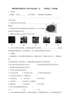 教科版四年級下冊科學1.8.鳳仙花的一生 同步練習題（含答案）.doc