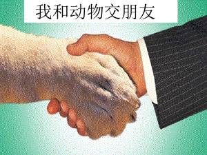桂美版一年級下冊美術6《我和動物交朋友》課件.ppt