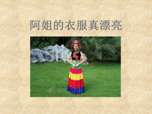 桂美版一年級下冊美術13《阿姐的衣服真漂亮》課件.pptx